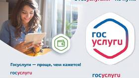Как оформить Детскую карту СПб через Госуслуги в Коламбия