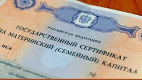 Как получить сертификат на материнский капитал через Госуслуги в Коламбия