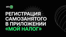 Как самозанятому получить разрешение перевозчика