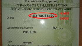 Как выглядит пенсионное свидетельство (СНИЛС) в Коламбия