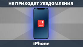 Почему не приходят уведомления на iPhone в Коламбия
