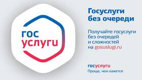 Почему стоит пользоваться порталом Госуслуги в Коламбия