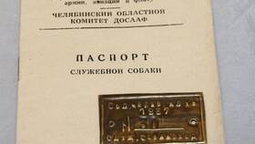 Вид собаки в паспорте: что писать в Коламбия