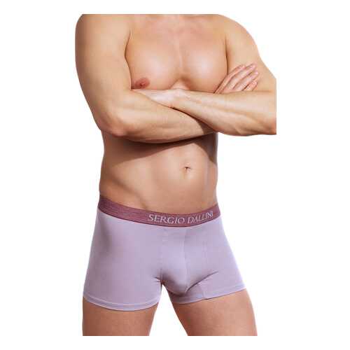 Трусы мужские SERGIO DALLINI SG2305 фиолетовые L в Коламбия